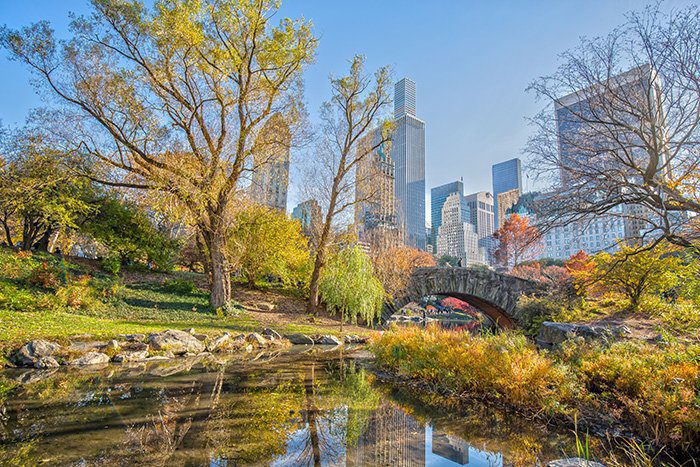 Inspire Me - Central Park's Best Hidden Gems